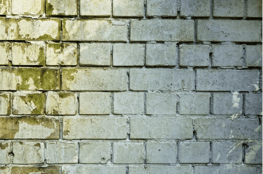 how to get rid of mold on concrete block walls - image from pixabay by MabelAmber